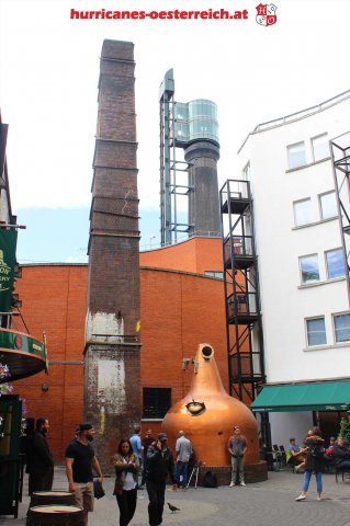 irland - oesterreich 11.6.2017 44